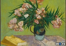 Tags: gogh, oleanders, van, vincent (Pict. in Metropolitan Museum Of Art - European Paintings)