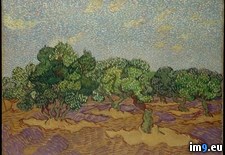 Tags: gogh, olive, trees, van, vincent (Pict. in Metropolitan Museum Of Art - European Paintings)
