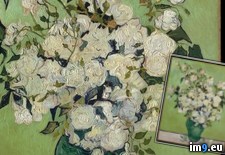 Tags: gogh, roses, van, vincent (Pict. in Metropolitan Museum Of Art - European Paintings)