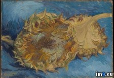 Tags: gogh, sunflowers, van, vincent (Pict. in Metropolitan Museum Of Art - European Paintings)