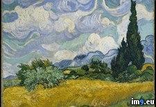 Tags: cypresses, field, gogh, van, vincent, wheat (Pict. in Metropolitan Museum Of Art - European Paintings)