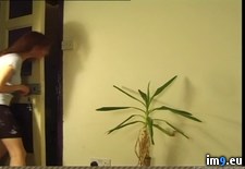 Tags: vip (Pict. in streamshots)