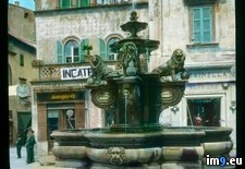 Tags: 17th, century, delle, erbe, fountain, lions, piazza, viterbo (Pict. in Branson DeCou Stock Images)