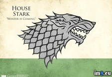 Tags: 1600x1200, sigil, stark, wallpaper (Pict. in Game of Thrones 1600x1200 Wallpapers)