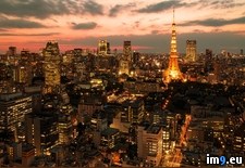 Tags: evening, tokyo, warm (Pict. in Tokyo HD Wallpapers)