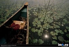Tags: canoe, lilies, maine, water (Pict. in National Geographic Photo Of The Day 2001-2009)