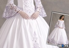 Tags: dress, sleeves, wedding (Pict. in Wedding dresses)