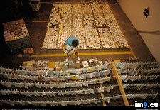 Tags: mail, wet (Pict. in National Geographic Photo Of The Day 2001-2009)