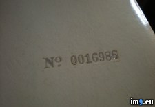 White 0016986 1 ( #White) - 427 KB Tags: white (Pict. in new 1)