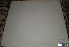 White 0292685 9.5 ( #White) - 303 KB Tags: white (Pict. in new 1)