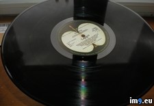 Tags: white (Pict. in New 1)