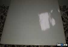 Tags: white (Pict. in new 1)