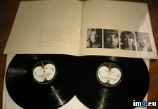 White 1973 01-07-14 1 ( #White) - 431 KB Tags: white (Pict. in new 1)