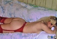 Tags: ass, blonde, hooker, hose, lavon, sexy, slut, webslut, whore, wife (Pict. in Wife Lora)