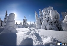Tags: beautiful, finland, wallpaper, wide, winter (Pict. in Unique HD Wallpapers)
