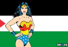 Tags: anime, antizionist, flag, palestine, superhero, wonderwoman (Pict. in Your Waifu Supports Palestine)