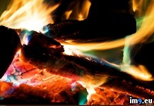Tags: fire, wood (Pict. in 1920x1200 wallpapers HD)