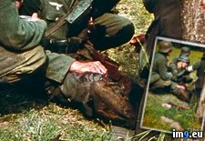 Tags: fall, hand, his, off, soldier, wounded (Pict. in Historical photos of nazi Germany)