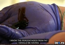 Tags: bed, lbs, making, meatloaf, woman, wtf (Pict. in My r/WTF favs)