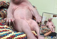 Tags: baby, wombat, wtf (Pict. in My r/WTF favs)