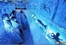 Tags: aquarium, creepy, frozen, japanese, wtf (Pict. in My r/WTF favs)