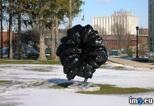 Tags: art, edinboro, exhibits, flower, showed, statue, student, tha, university, wtf (Pict. in My r/WTF favs)