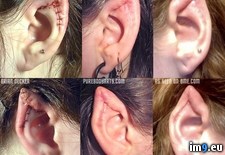 Tags: called, ear, pointing, trend, wtf (Pict. in My r/WTF favs)