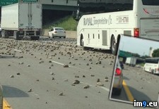 Tags: ahh, annual, freeway, migration, rocks, wtf (Pict. in My r/WTF favs)