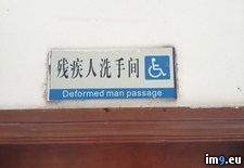 Tags: award, translation, worst, wtf (Pict. in My r/WTF favs)