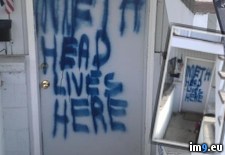 Tags: apparently, are, heads, meth, neighbors, wtf (Pict. in My r/WTF favs)