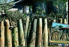 Tags: are, bombs, khouang, laos, normal, wtf, xieng (Pict. in My r/WTF favs)