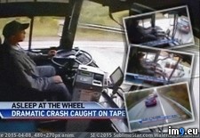 Tags: asleep, bus, driver, falls, wtf (GIF in My r/WTF favs)