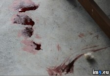 Tags: cat, wtf (Pict. in My r/WTF favs)