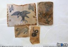 Tags: 19th, 20th, century, conserved, early, human, late, skin, tattoos, wtf (Pict. in My r/WTF favs)