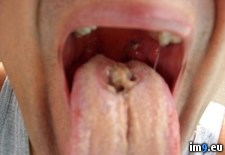 Tags: dads, tongue, wtf (Pict. in My r/WTF favs)