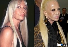 Tags: donatella, versace, wtf (Pict. in My r/WTF favs)