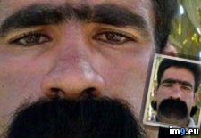 Tags: hair, stache, tested, tunnel, unibrow, wind, worst, wtf (Pict. in My r/WTF favs)