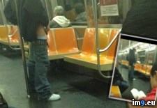 Tags: dude, piss, subway, wtf (Pict. in My r/WTF favs)