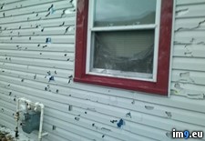 Tags: family, hail, house, members, north, omaha, storm, wtf (Pict. in My r/WTF favs)