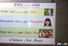 Tags: family, planning, thailand, wtf (Pict. in My r/WTF favs)
