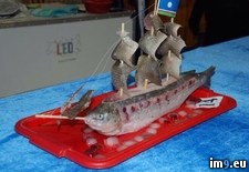 Tags: fish, ships, wtf (Pict. in My r/WTF favs)