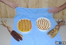 Tags: food, wtf (Pict. in My r/WTF favs)