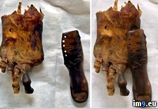 Tags: egyptian, foot, mummy, old, prosthetic, toe, wtf, years (Pict. in My r/WTF favs)