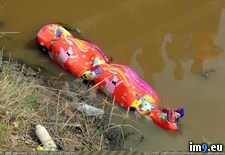 Tags: canal, floating, wtf (Pict. in My r/WTF favs)