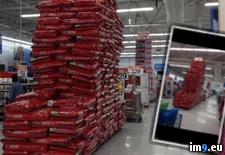Tags: level, local, safety, walmart, wtf (Pict. in My r/WTF favs)