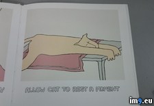 Tags: book, food, pet, store, work, wtf (Pict. in My r/WTF favs)