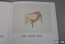 Tags: book, food, pet, store, work, wtf (Pict. in My r/WTF favs)