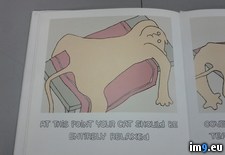 Tags: book, food, pet, store, work, wtf (Pict. in My r/WTF favs)