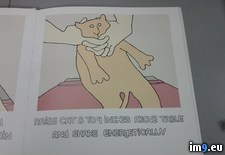 Tags: book, food, pet, store, work, wtf (Pict. in My r/WTF favs)