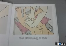 Tags: book, food, pet, store, work, wtf (Pict. in My r/WTF favs)
